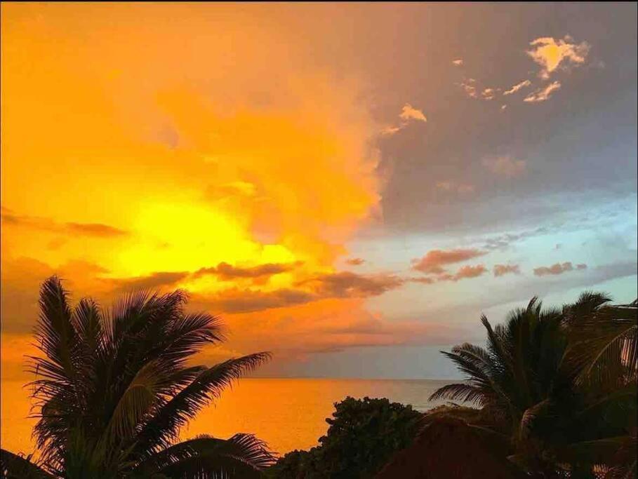 Beachfront Akumal Half Moon Bay Экстерьер фото